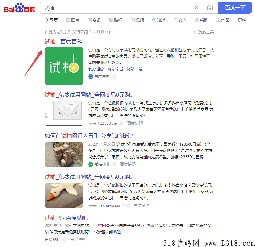 【试柚】优质风口项目，承接各大团队