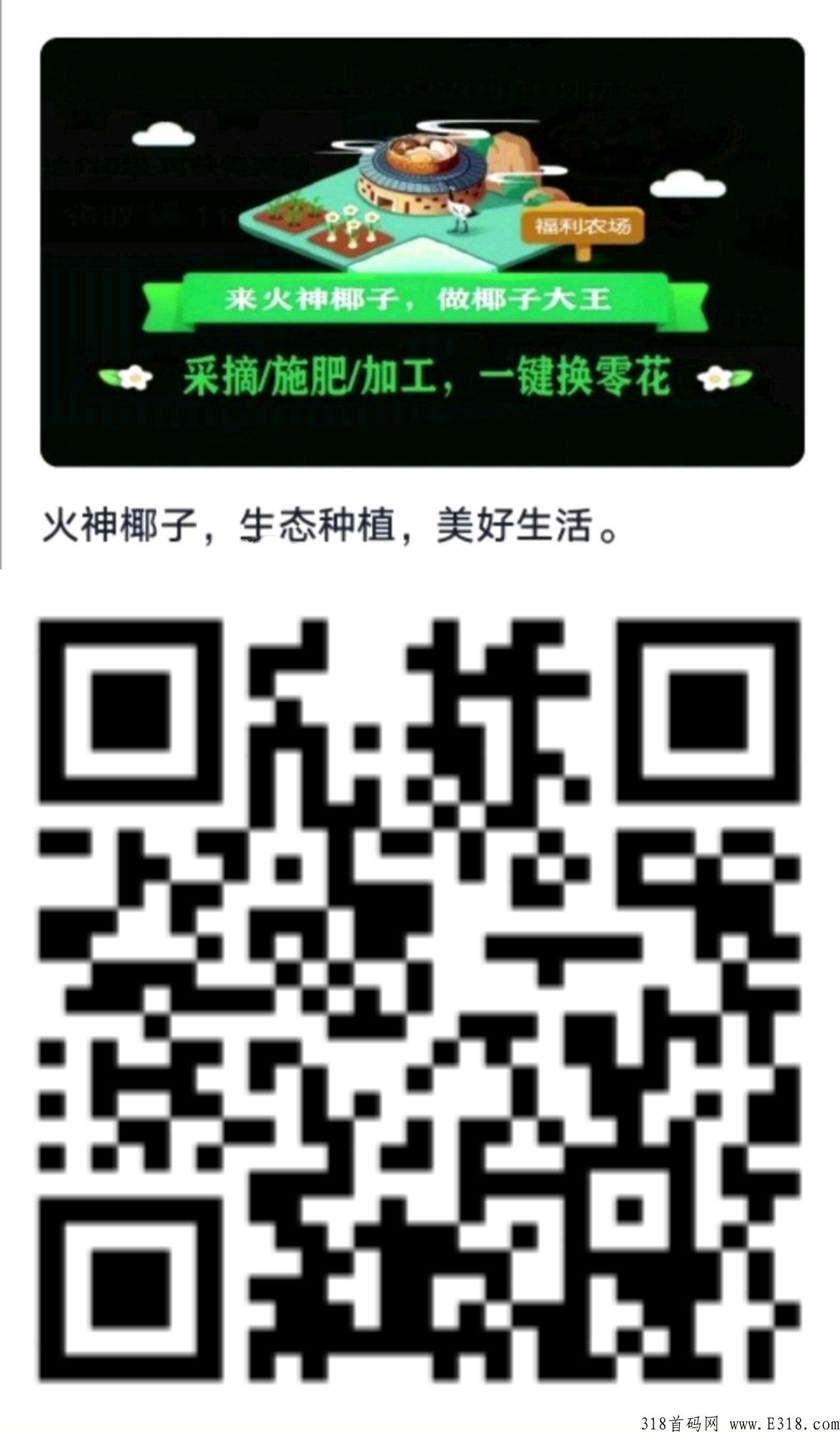 神椰子，首码新项目，收益稳定，玩法简单！