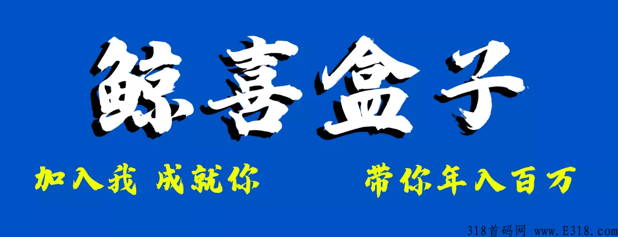 鲸喜盒子app怎么下载？首码对接团队领导