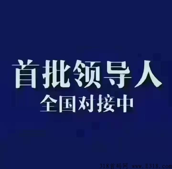 以太坊量化，全网王炸项目，对接领导人，高扶持