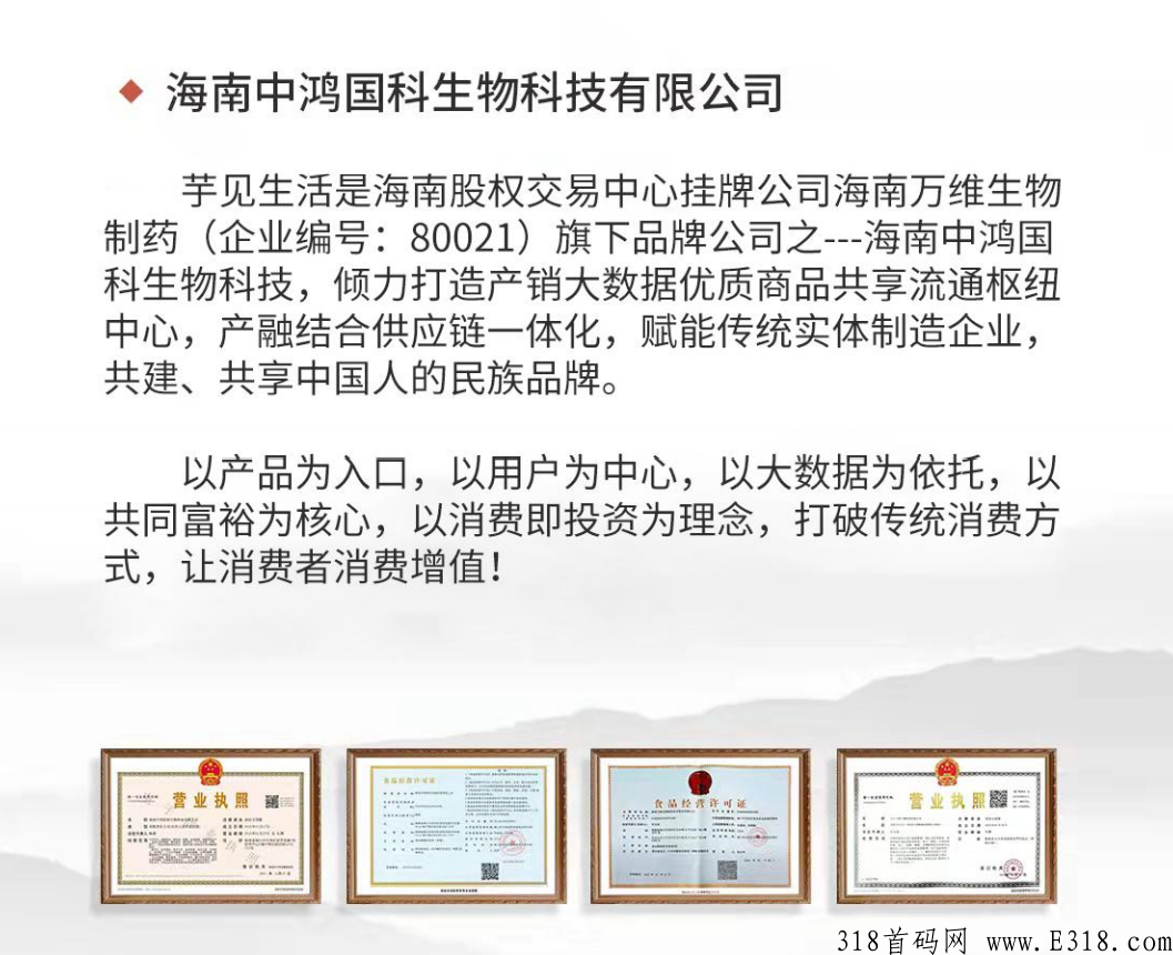 芋见生活首码，拿下级9层，轻松赚米，公司对接核心团队