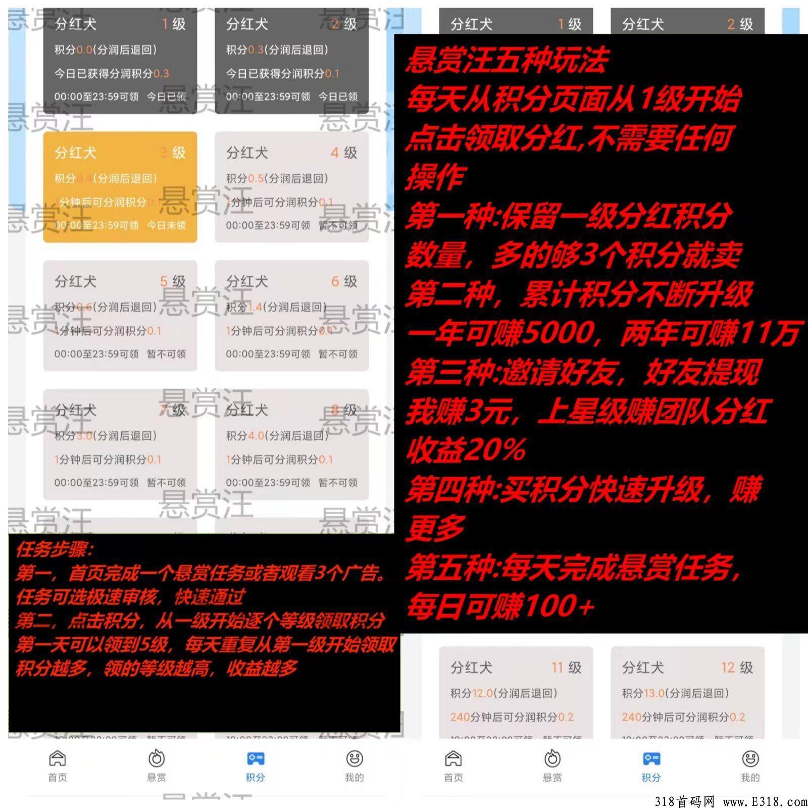 首码赏汪赚（分红模式）最强零撸神盘
