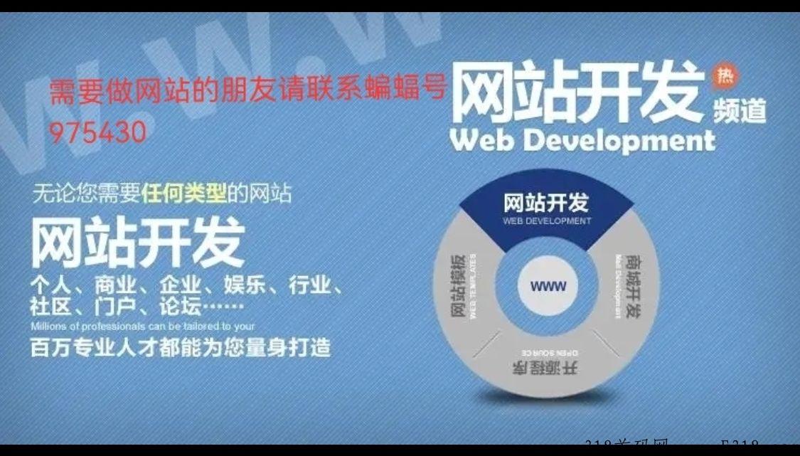 各种网站制作开发定制