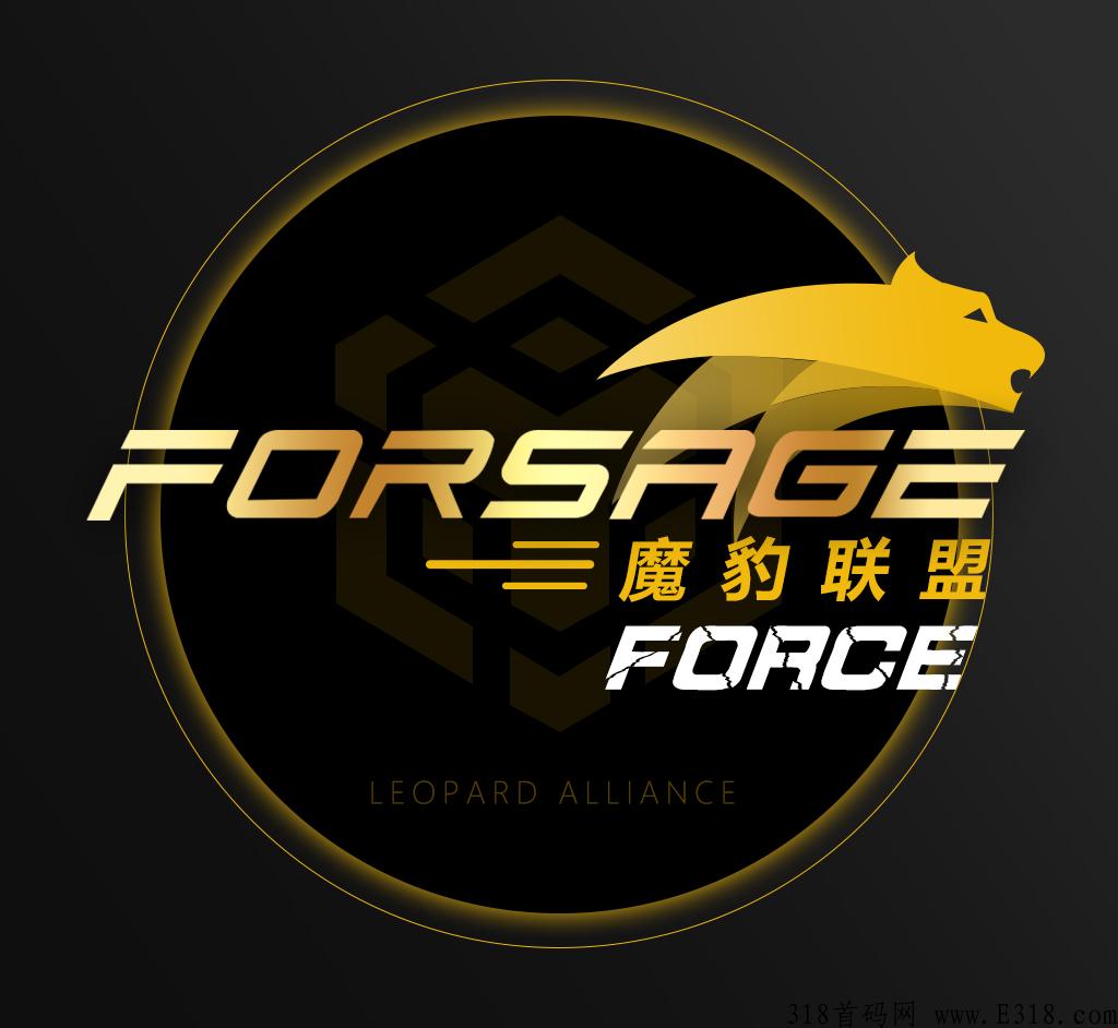 META FORCE，佛萨奇原力元宇宙