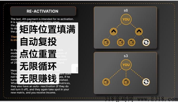 META FORCE，佛萨奇原力元宇宙