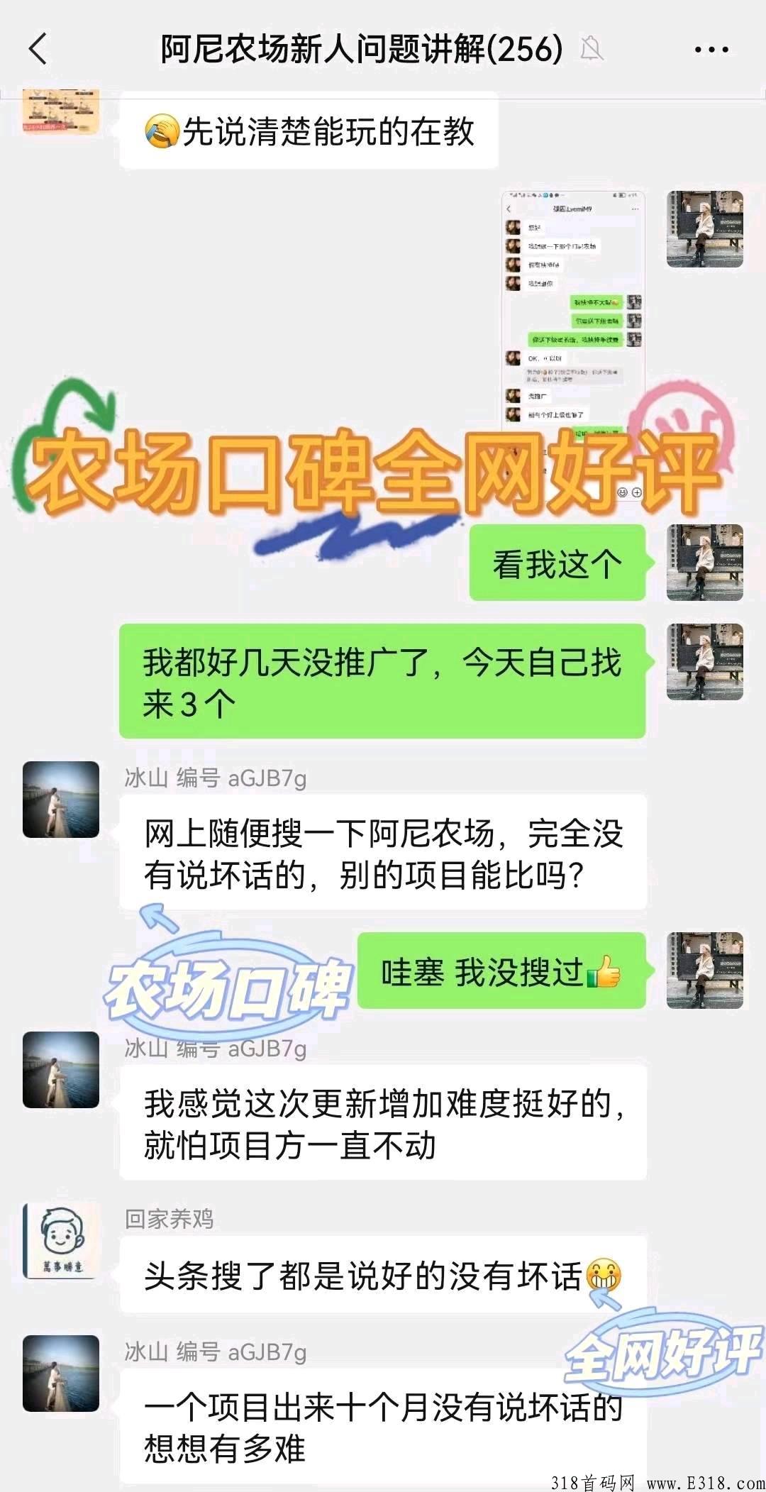 阿尼农场，并非小游戏