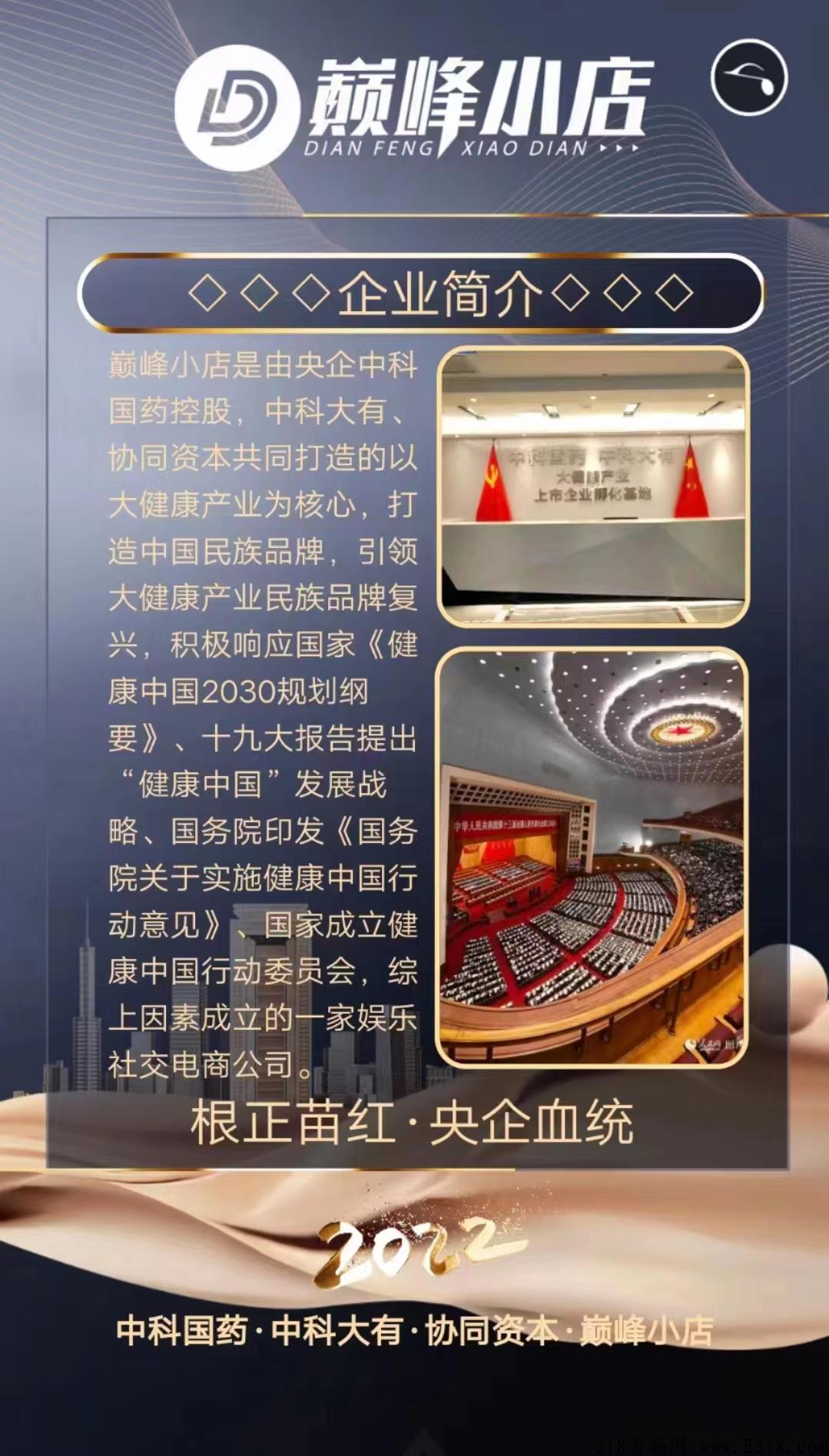 巅峰小店，低成本高效率、让创业变得更加简单 人人可为！
