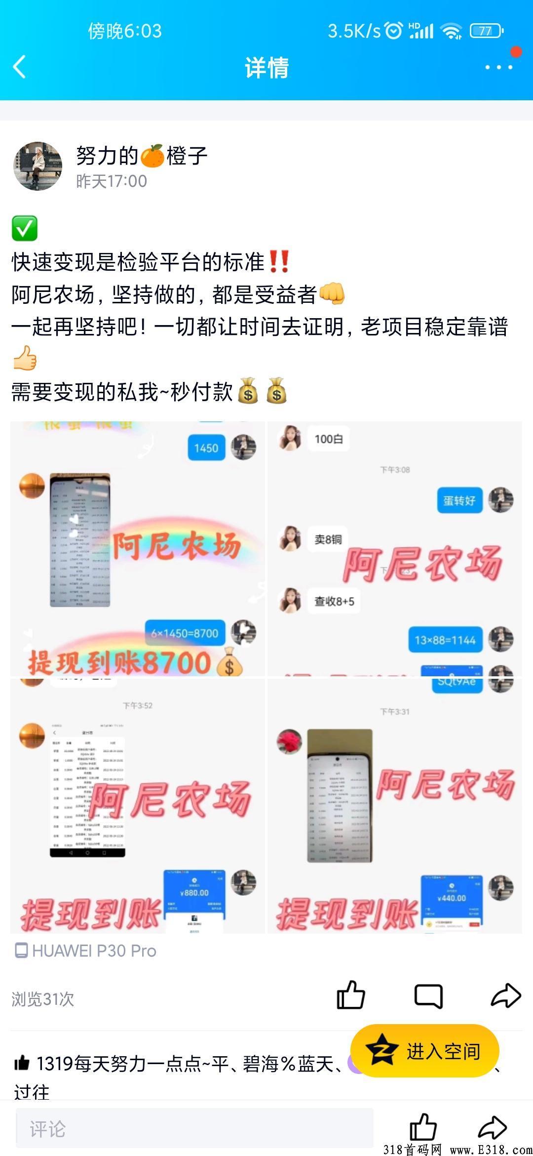 阿尼农场项目之神