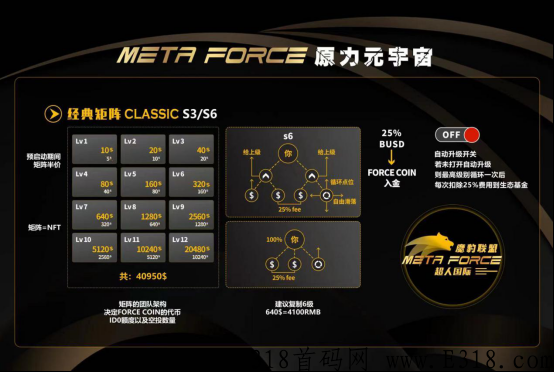 佛萨奇Forsage2.0应该怎么玩？