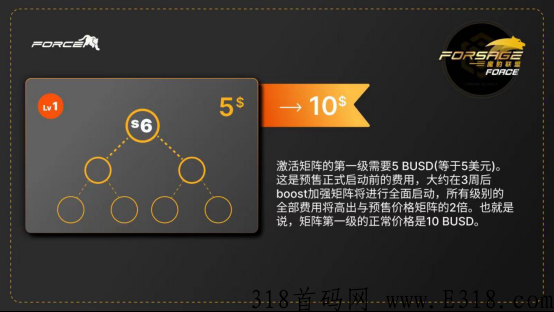 佛萨奇Forsage2.0应该怎么玩？