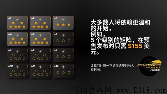 佛萨奇Forsage2.0应该怎么玩？