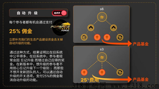 佛萨奇Forsage2.0应该怎么玩？