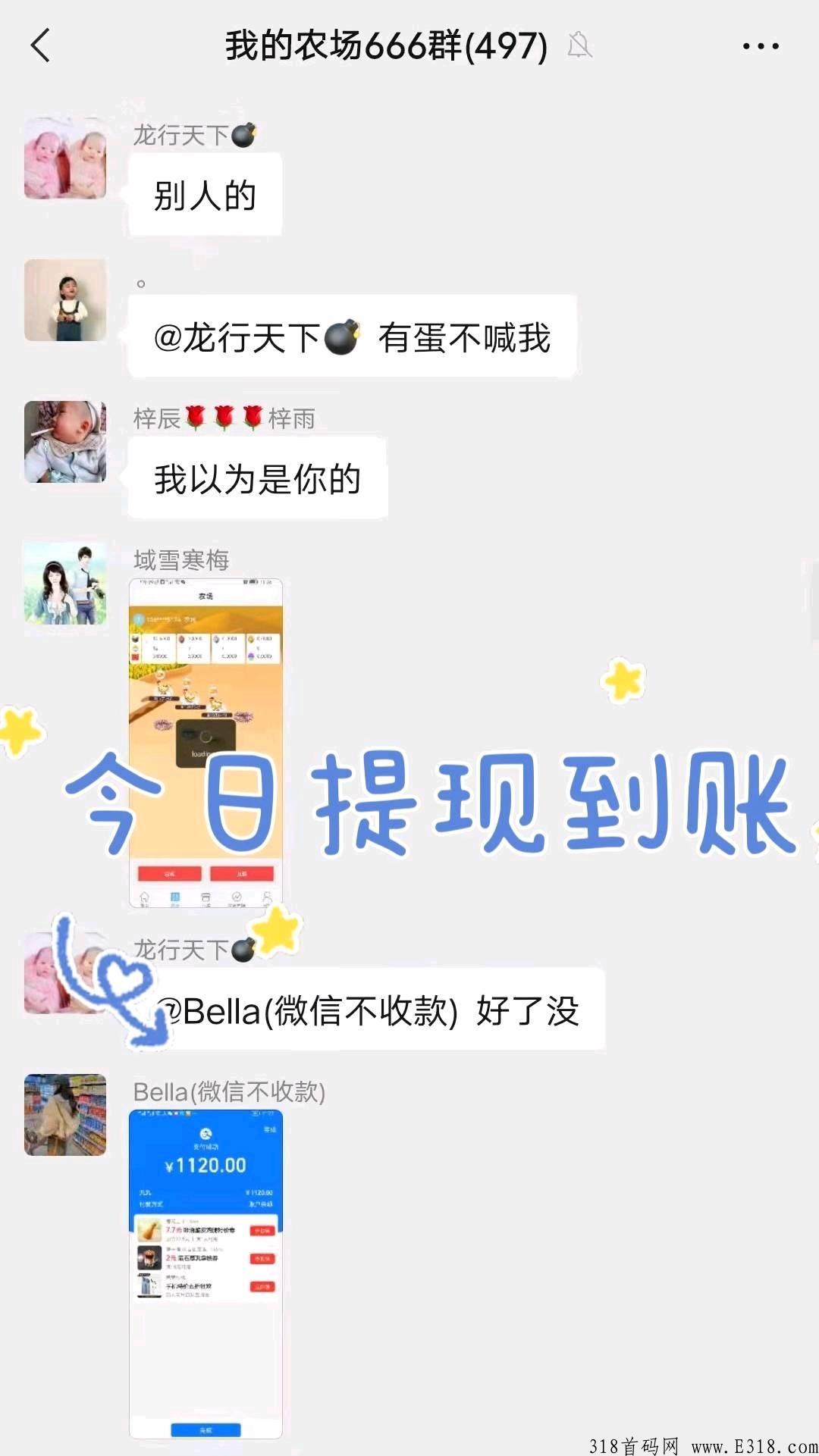 阿尼农场，长期稳定项目，大力扶持招募团长两名