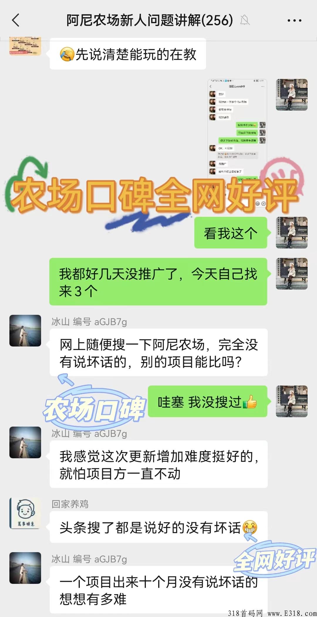 阿尼农场，长期稳定项目，大力扶持招募团长两名