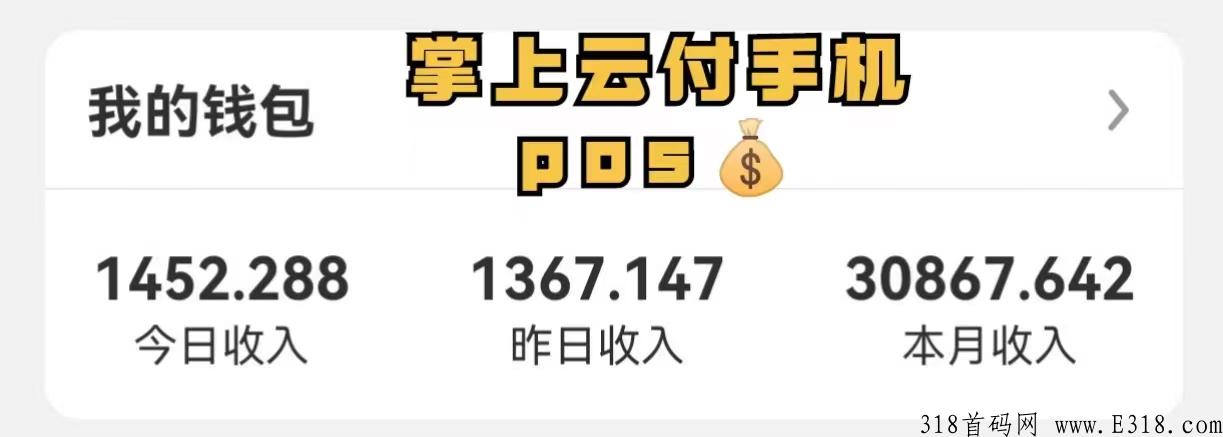 掌上云付，全新手风口项目，实现管道收益