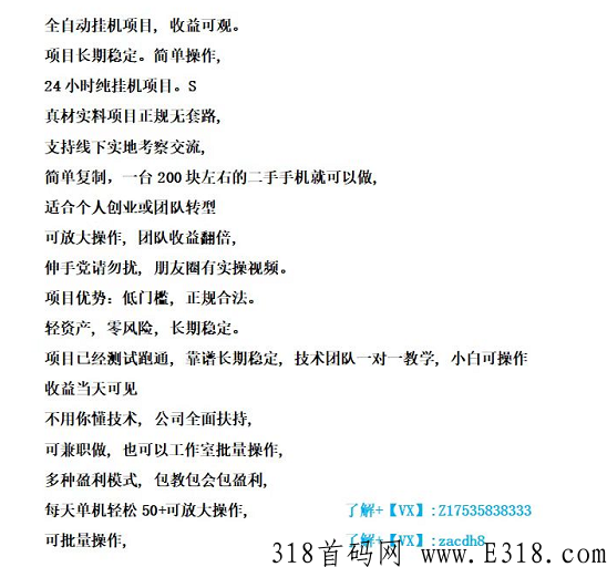 自动首码项目，收益可观