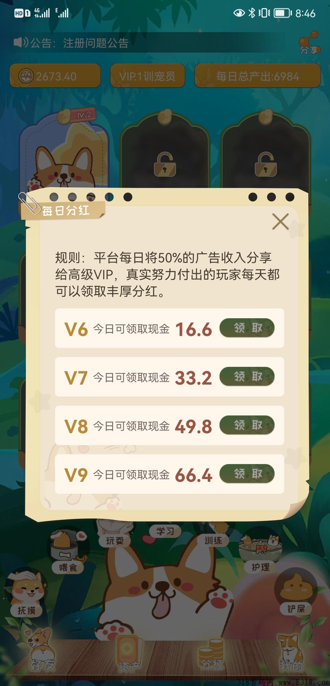 宝贝狗，全网稳定靠谱项目