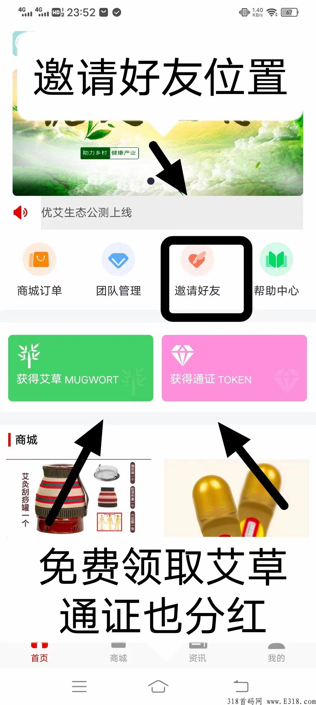 首码项目优艾生态，艾草永久分奖励两代收益