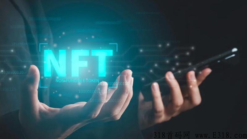 NFT平台开发公司，平台开发涉及哪些技术