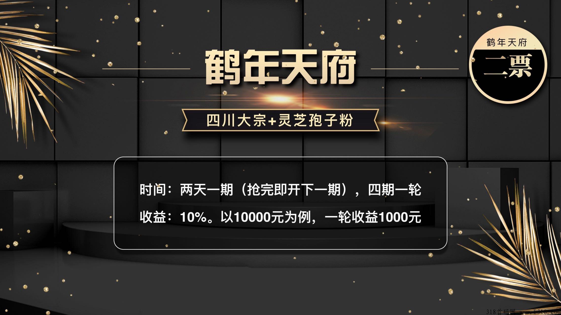 鹤年天府（鹤年堂）第二区强势来袭✔泰山众筹模式