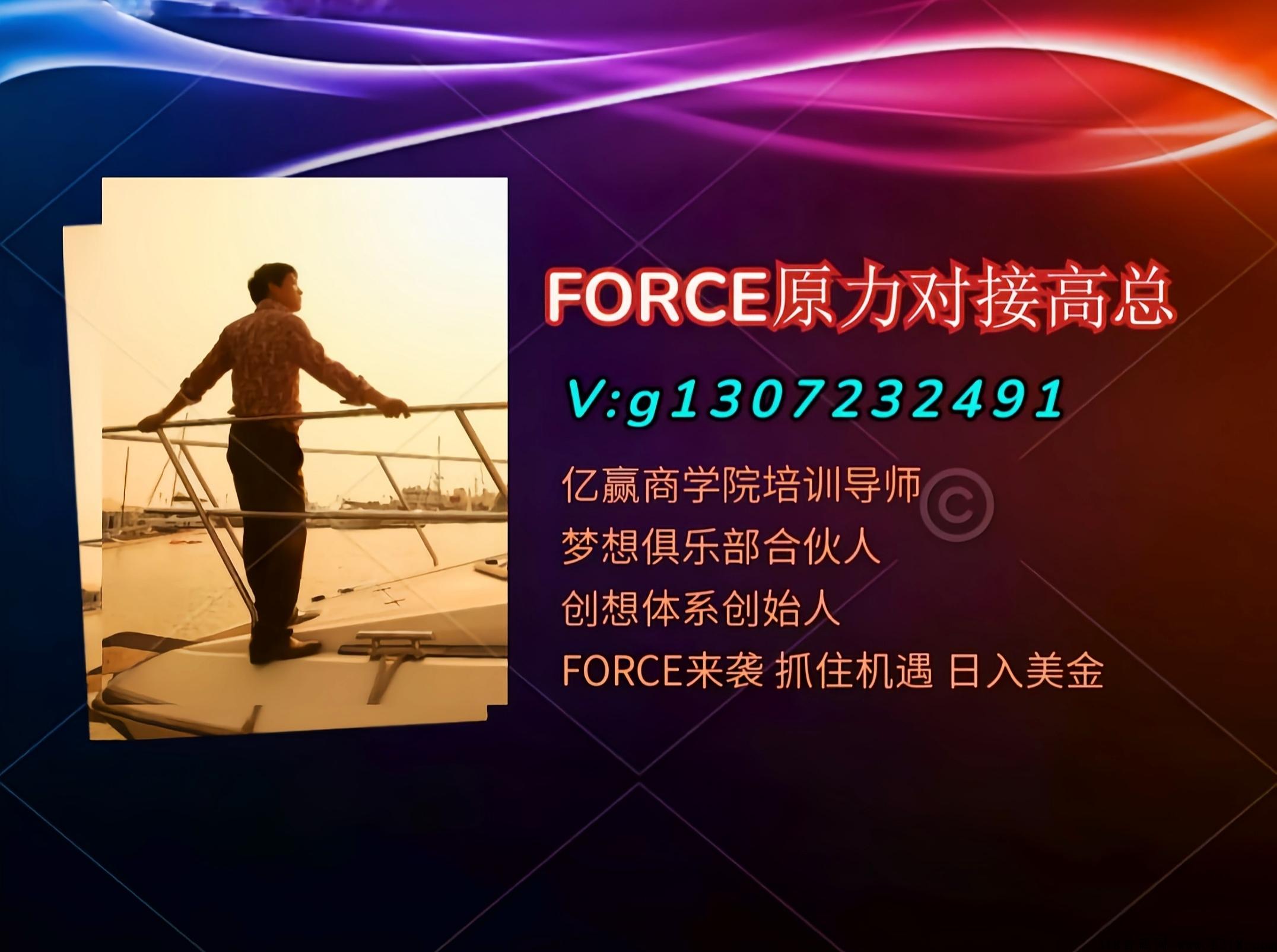 metaforce佛萨奇，force原力中国区对接高总