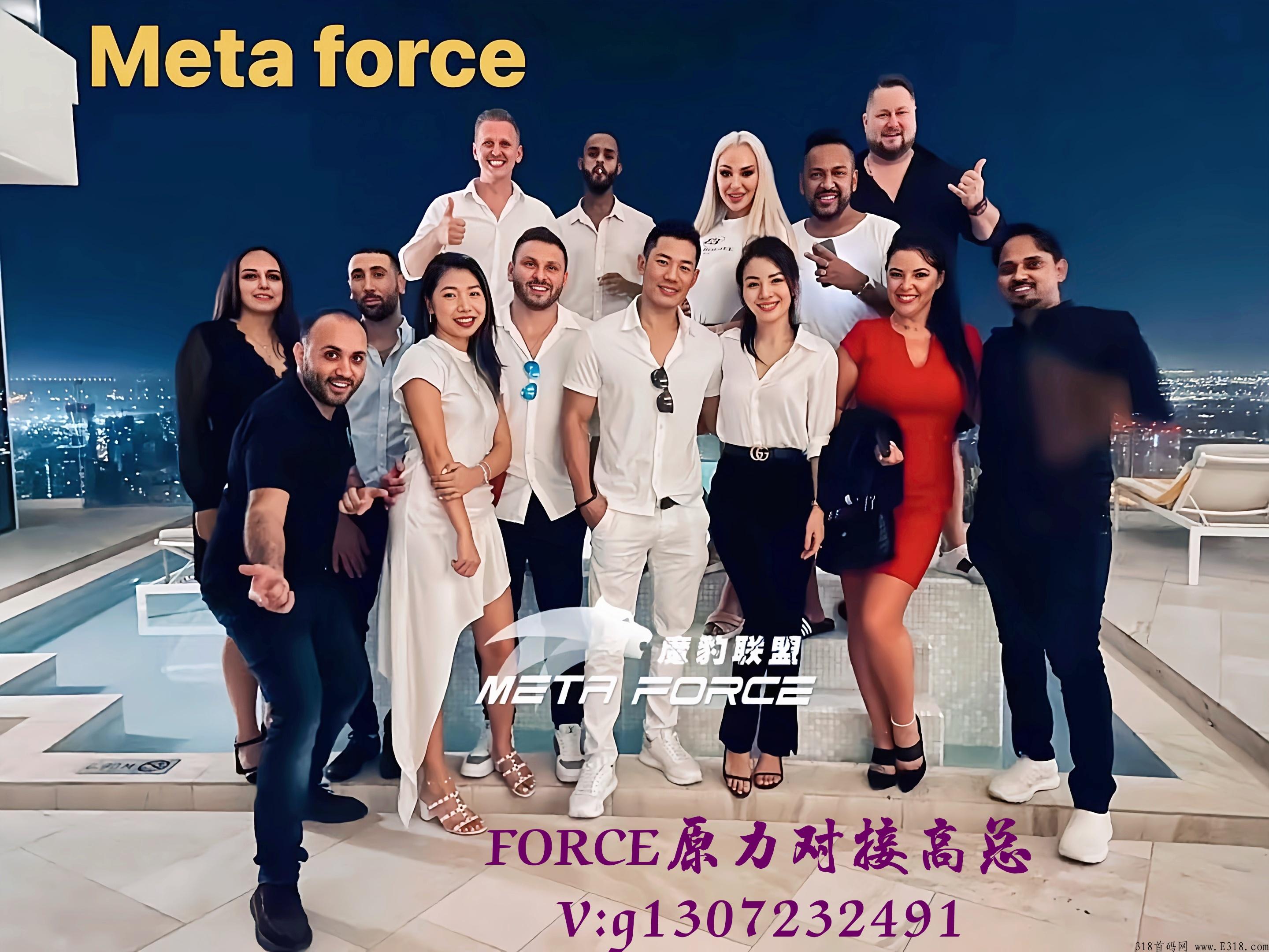 metaforce佛萨奇，force原力中国区对接高总