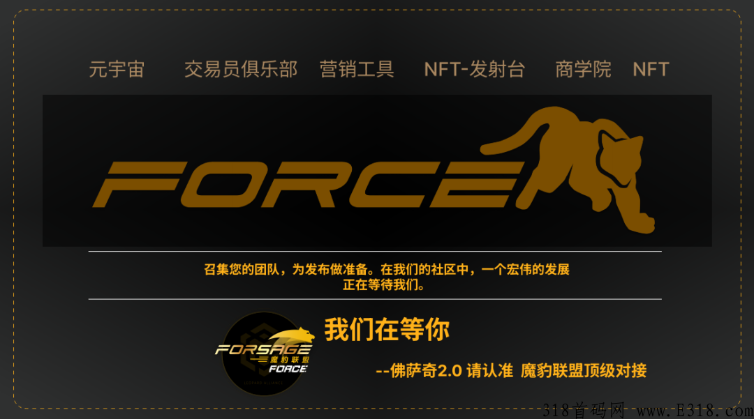 揭秘佛萨奇2.0 Meta Force原力元宇宙是不是骗局？