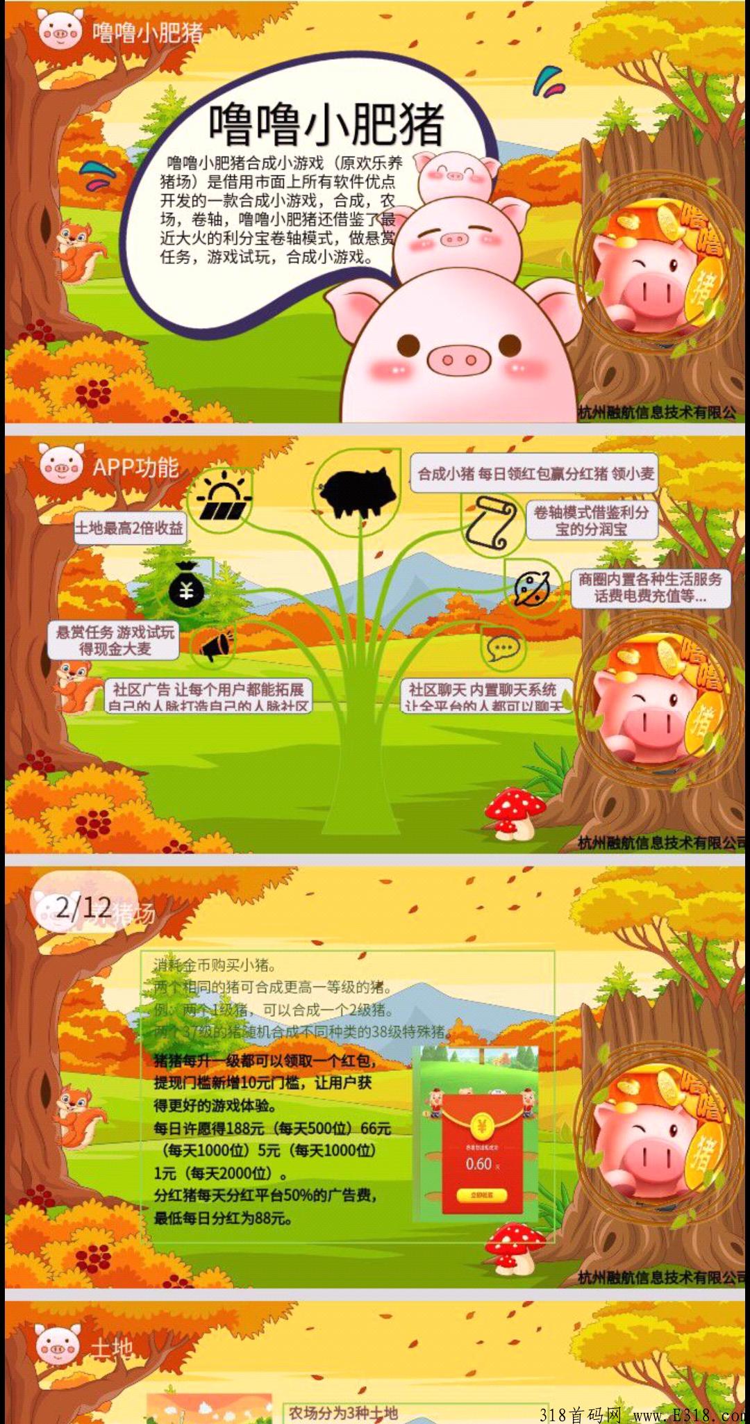 首码噜噜小肥猪，教你赚米