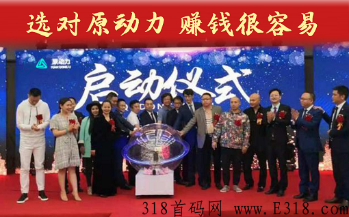 仅此一次机会！【原动力】，全网唯一模式，多种收入渠道，错过后悔