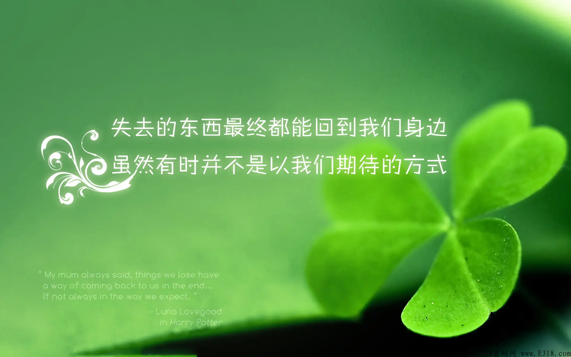 泰山众筹系统开发app(源码搭建）