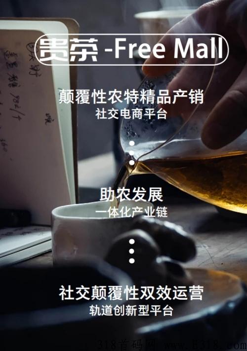 FreeMall商城内测首码总部对接