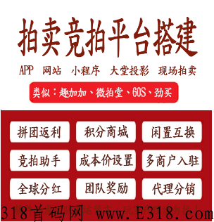 字画竞拍源代码，项目设计，团队长对接