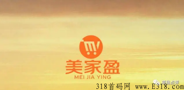 美家盈，下半年风口项目，全网对接，待遇好