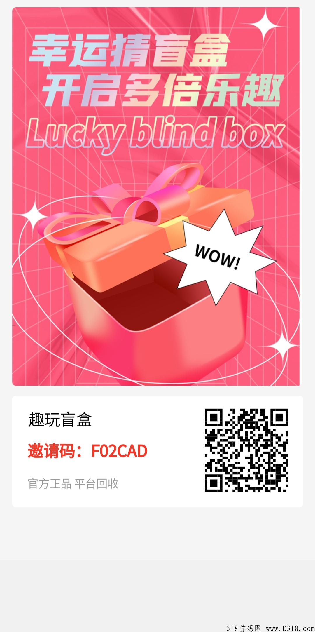 趣玩盲盒，想要赚米的话不妨就来这里吧