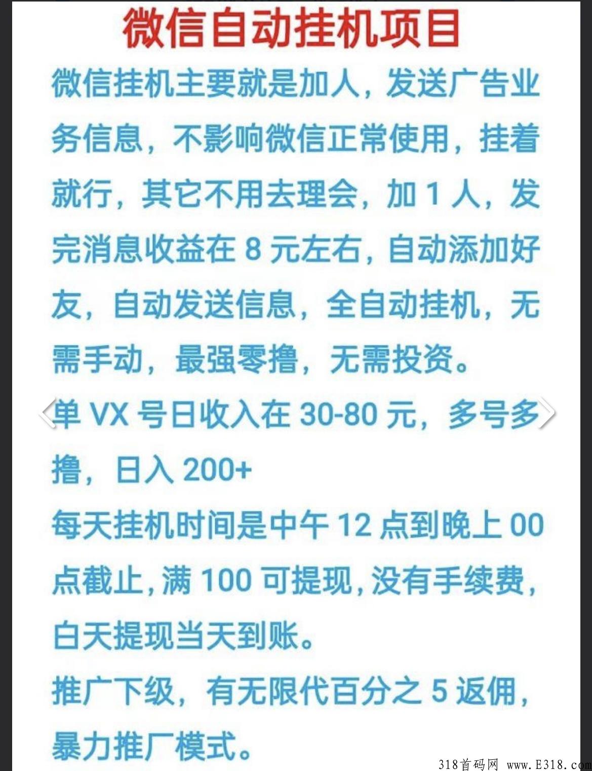 飞翔g机，2022全网最强项目