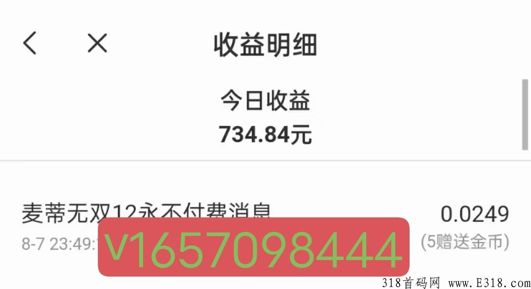 首码项目，招募打字员，长久稳定