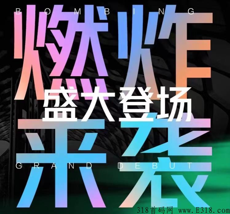 1998巨大市场，称霸行业 朝阳项目，顶级模式，独占市场，对接各大团队长