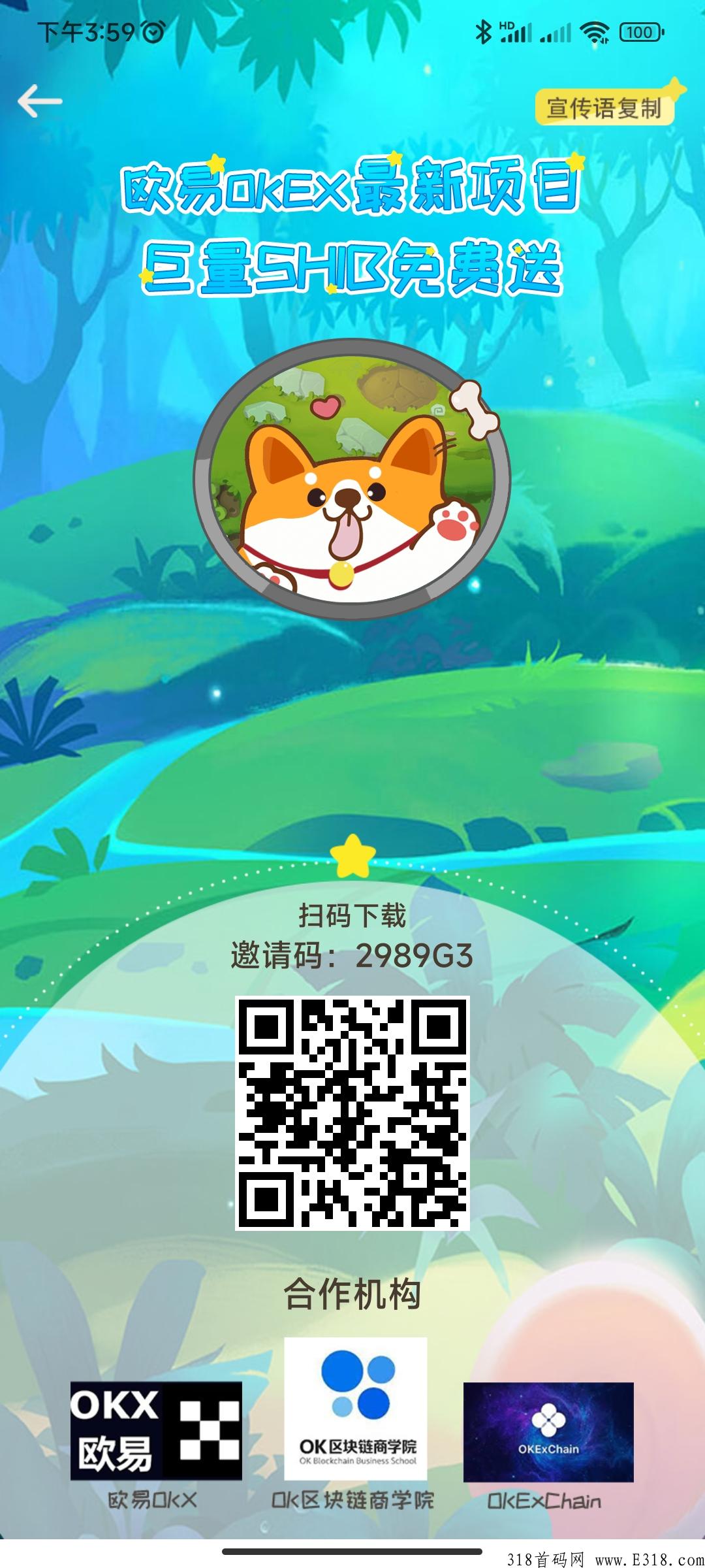 宝贝狗，一起来互相学习