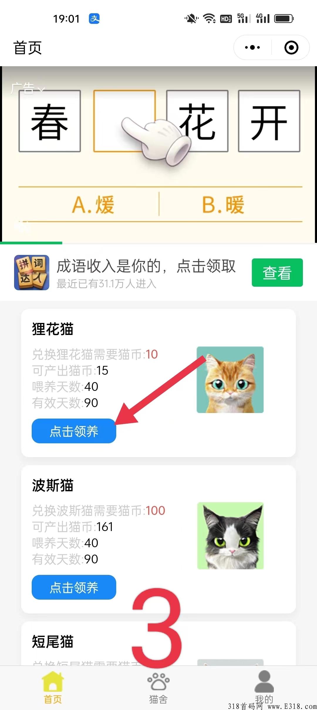 四猫WiFi，超简单黑马项目，最新出炉，看视频得积分