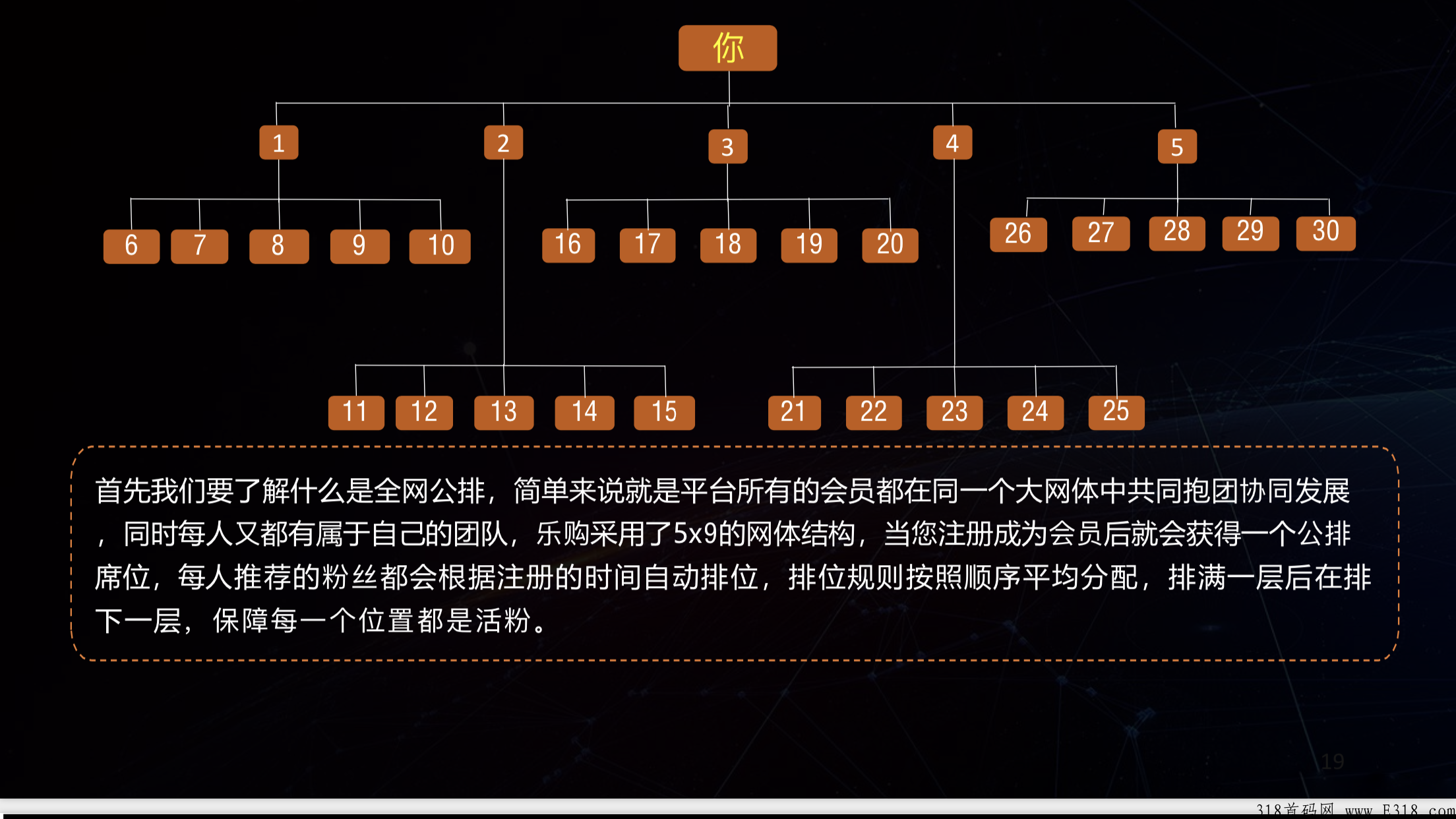 乐购生活，全新模式项目，不是盘子，244万团队