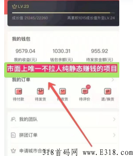 团生生，唯一不用推广的躺赚项目，坐等收益，轻松实现被动收入