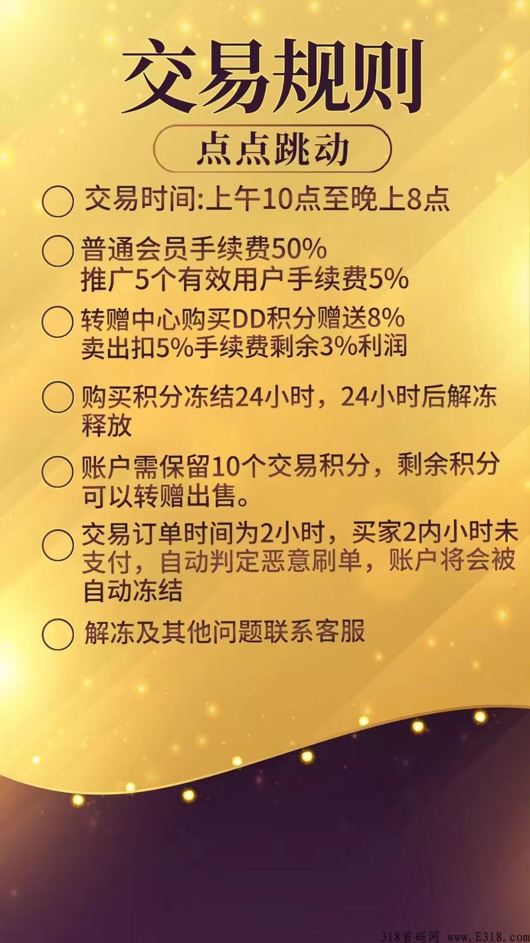 点点跳动，会员突破100万，今年最强首码项目