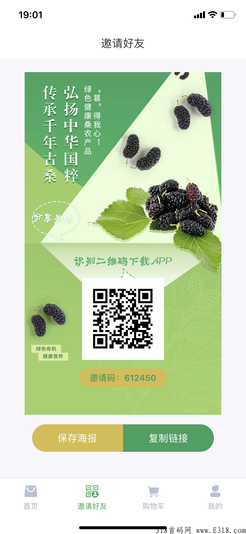 千年古桑园，创新模式天花板，低价带你