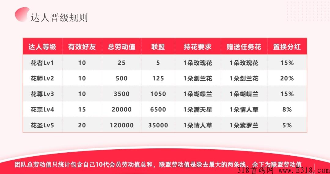 先遇社交，先遇全网招募投客扶持拉满