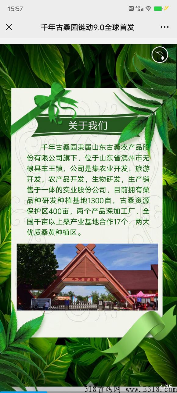 【闪电揭秘】千年古桑园是什么？
