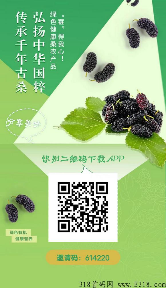 【闪电揭秘】千年古桑园是什么？