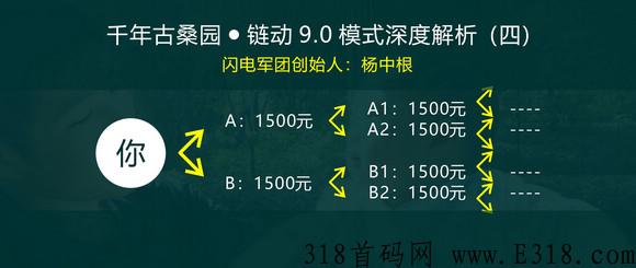 【闪电揭秘】千年古桑园投资多少米？