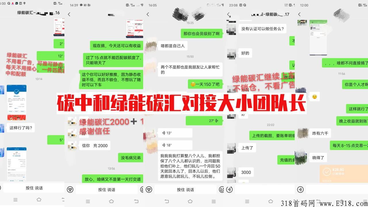 绿能碳汇碳中和风口项目，扶持拉满仅限国庆期间，对接大小团队长