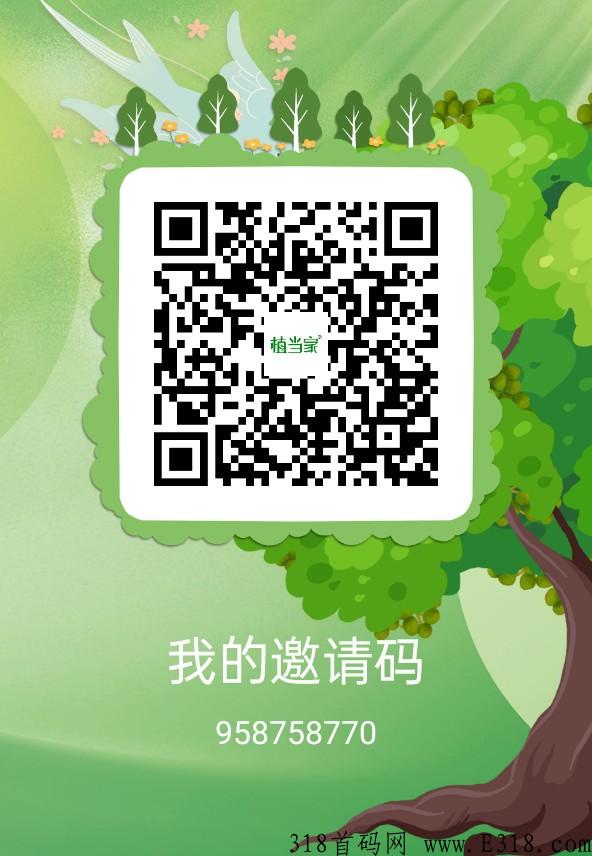 植当家，首码项目，淘粉模式，加速释放，黑马项目，首码测试，先期上车