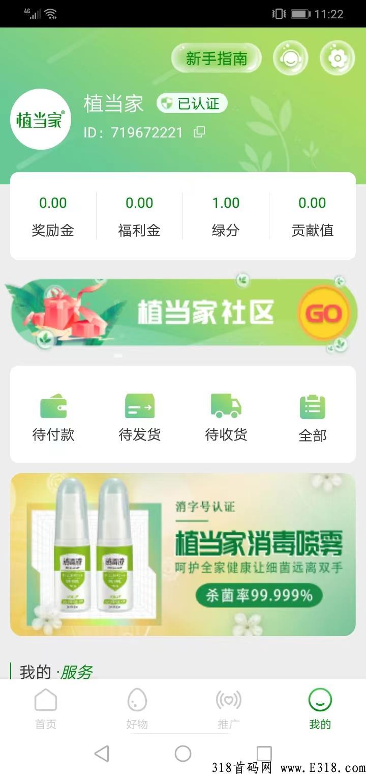 植当家，首码项目，淘粉模式，加速释放，黑马项目，首码测试，先期上车